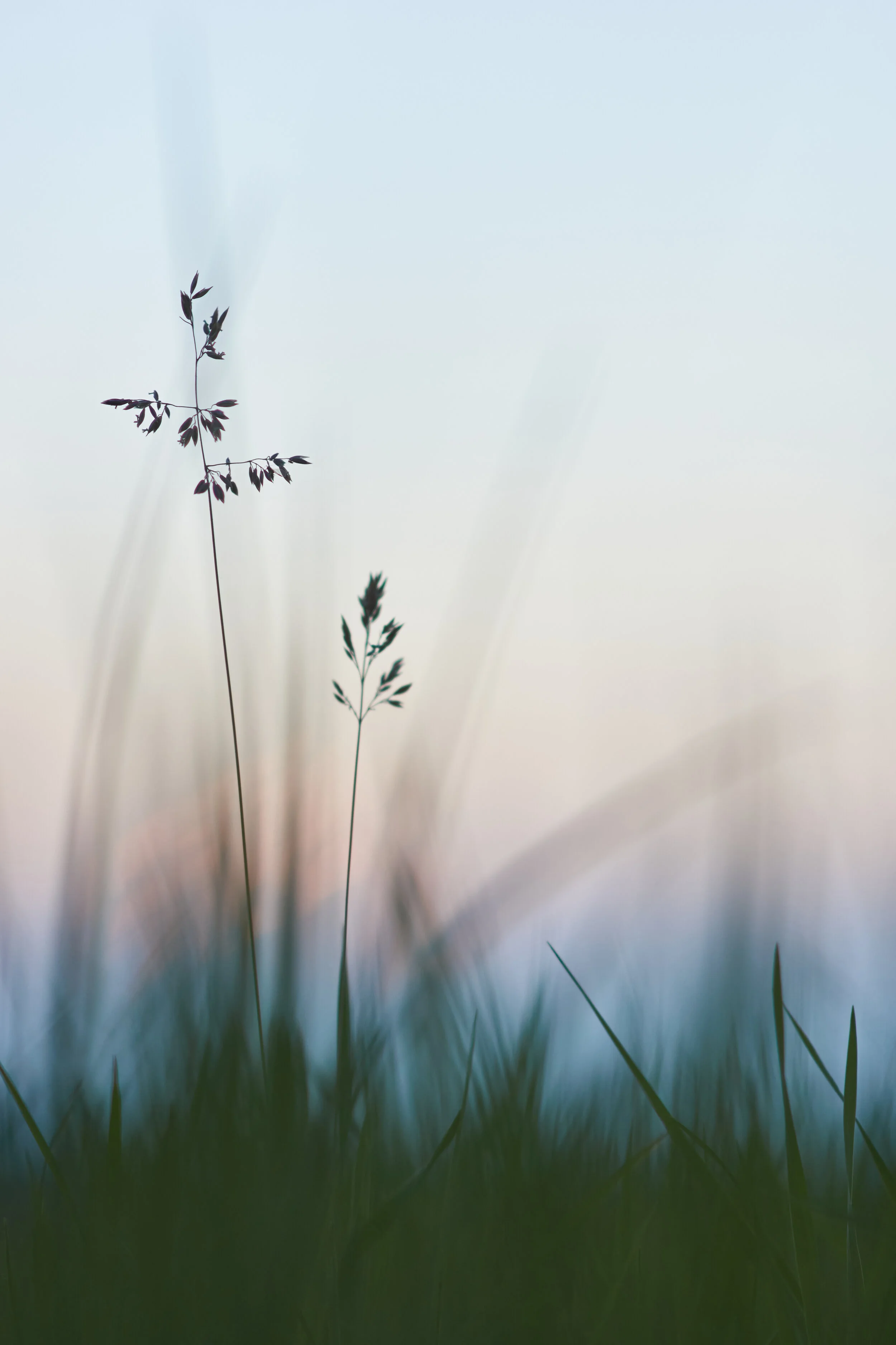 New to mindfulness? How to get started and make it work for you.