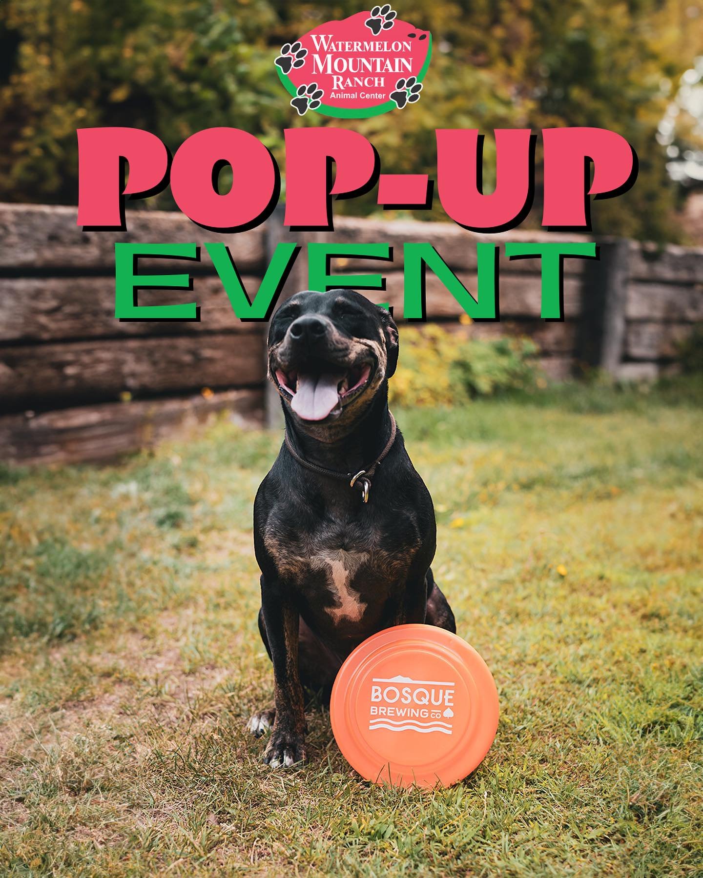 Join us TOMORROW, April 20th, at Nob Hill Public House for not one but two taproom events! Come for pups and stay for the comedy! 🐶🎤🍻

🐕12- 3PM -Adoption pop-up w/ @wmranchnm. 
A percentage of all beer sales during the event will be donated to th