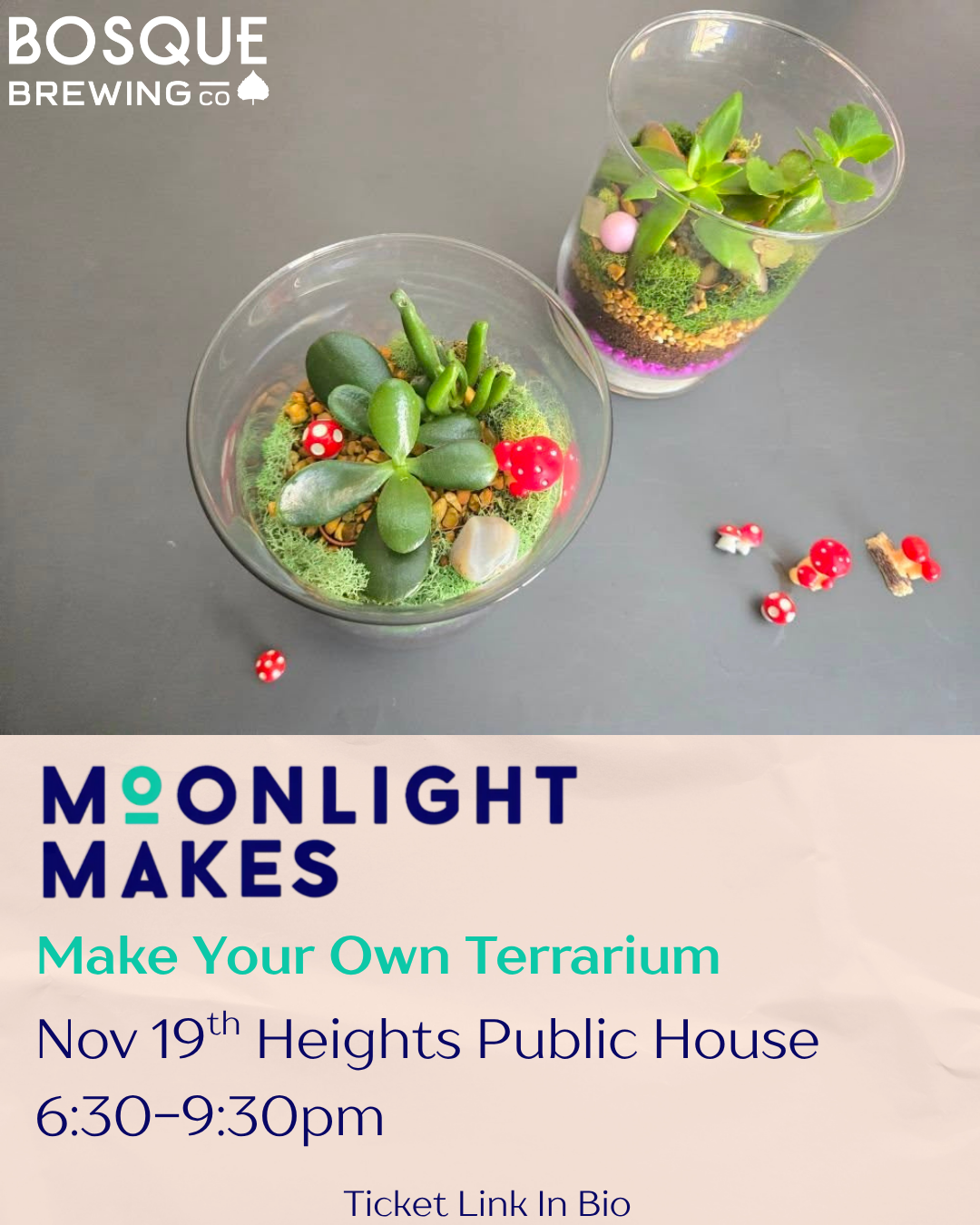 Moonlight Makes: Make Your Own Terrarium 
