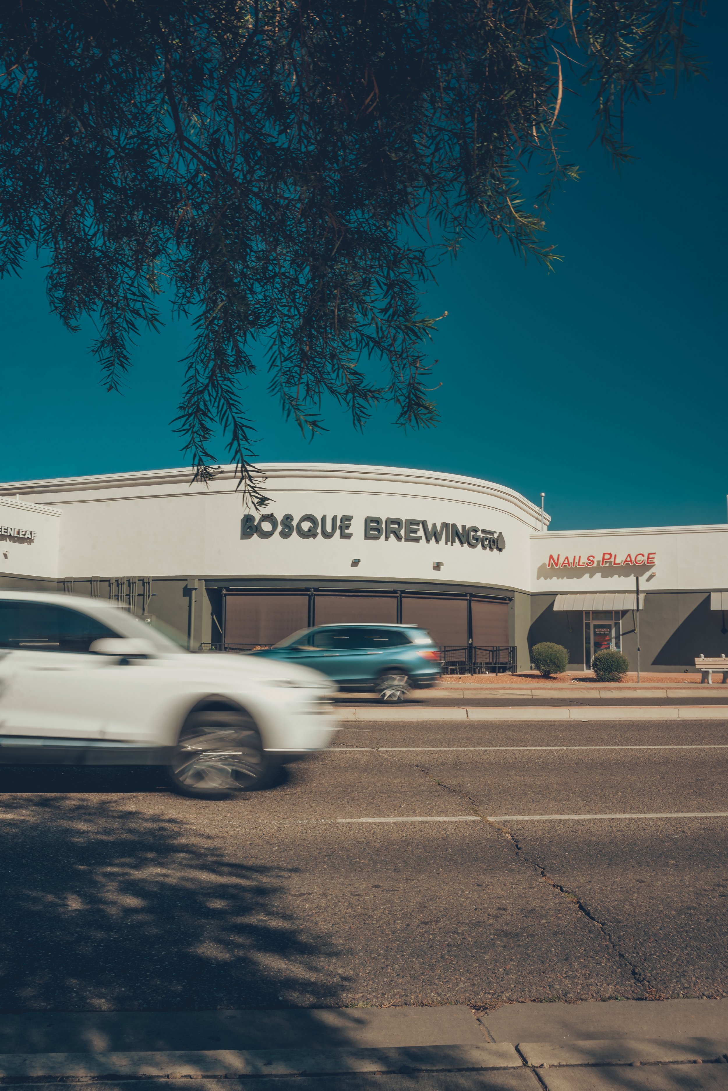 Dual Concept at Cottonwood Public House | Bosque Brewing Co. + Smothered Brunch 