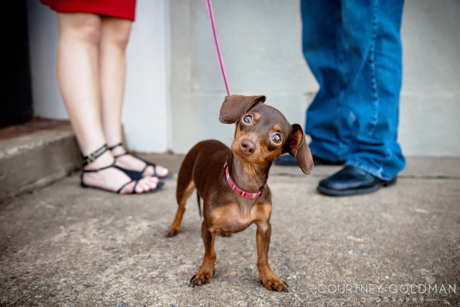 Atlanta-Couples-Engagement-Proposal-Photography-by-Courtney-Goldman-02.jpg