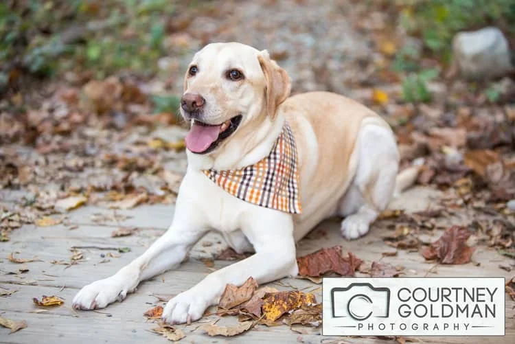 Atlanta-Pet-Photography-Zonolite-Park-by-Courtney-Goldman-2.jpg