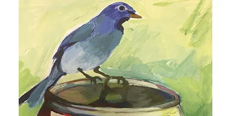 707-Bluebird PBR.jpg