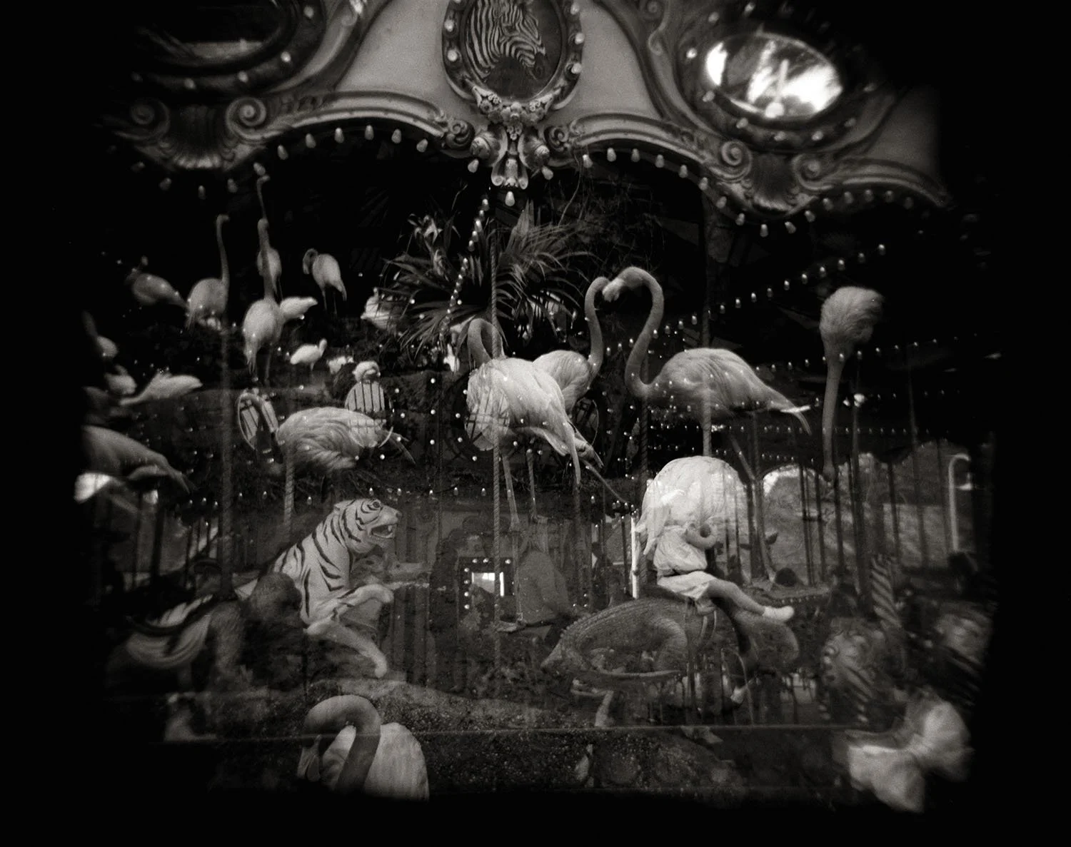 Somerville Toy Camera Festival 2022