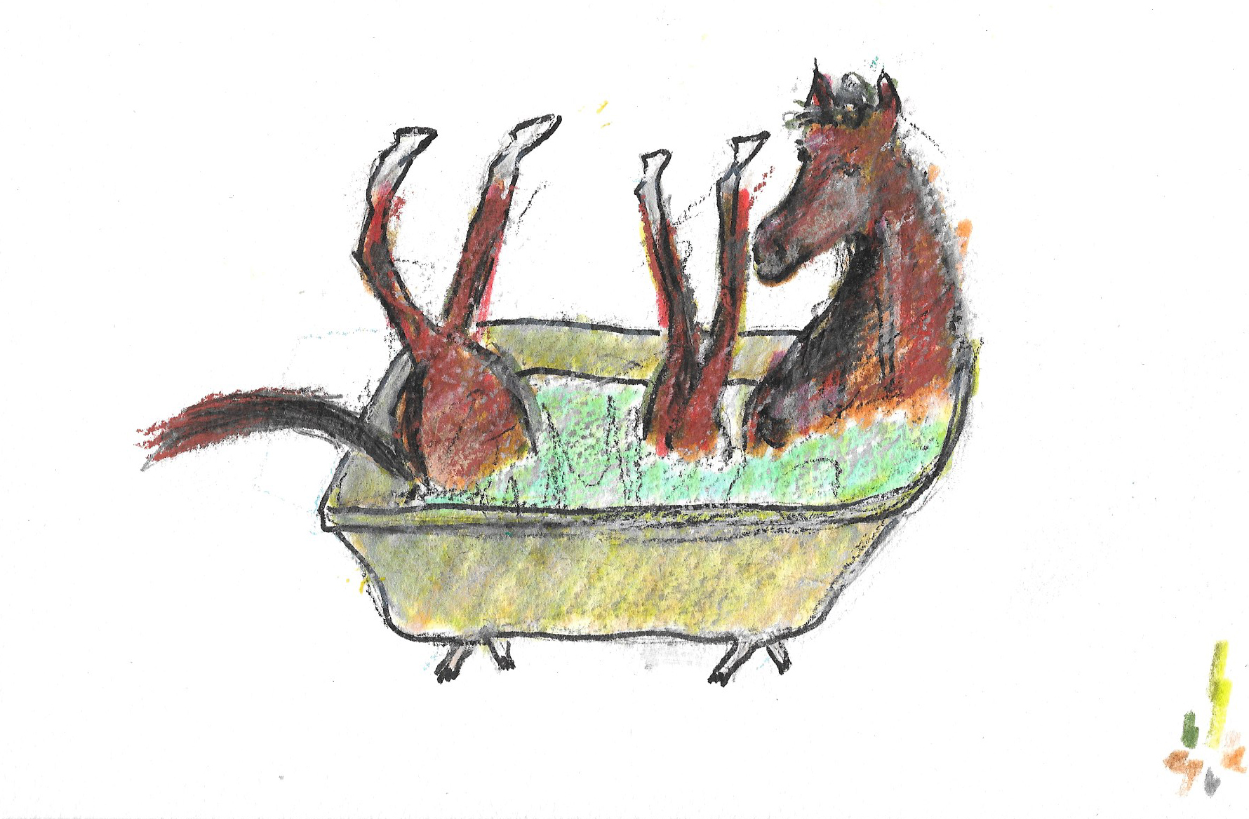horse bath 1.jpeg