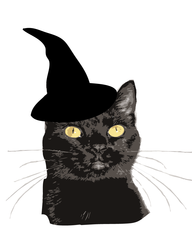 Witch City Kitty