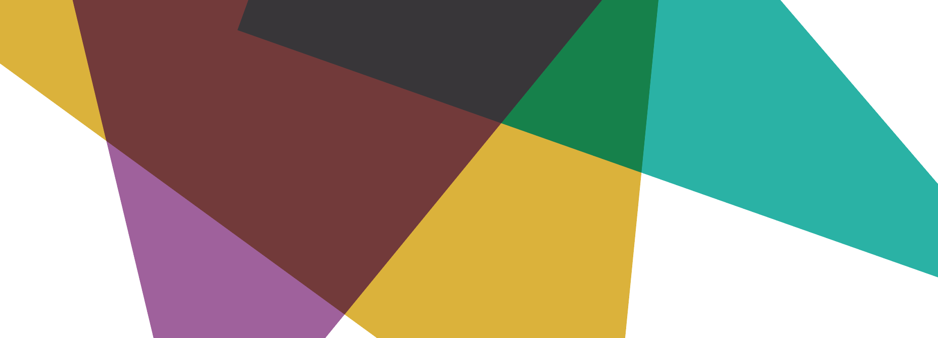 DVS-banner-01.png