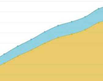 O primeiro ano da DVS e a importância da visualização de dados