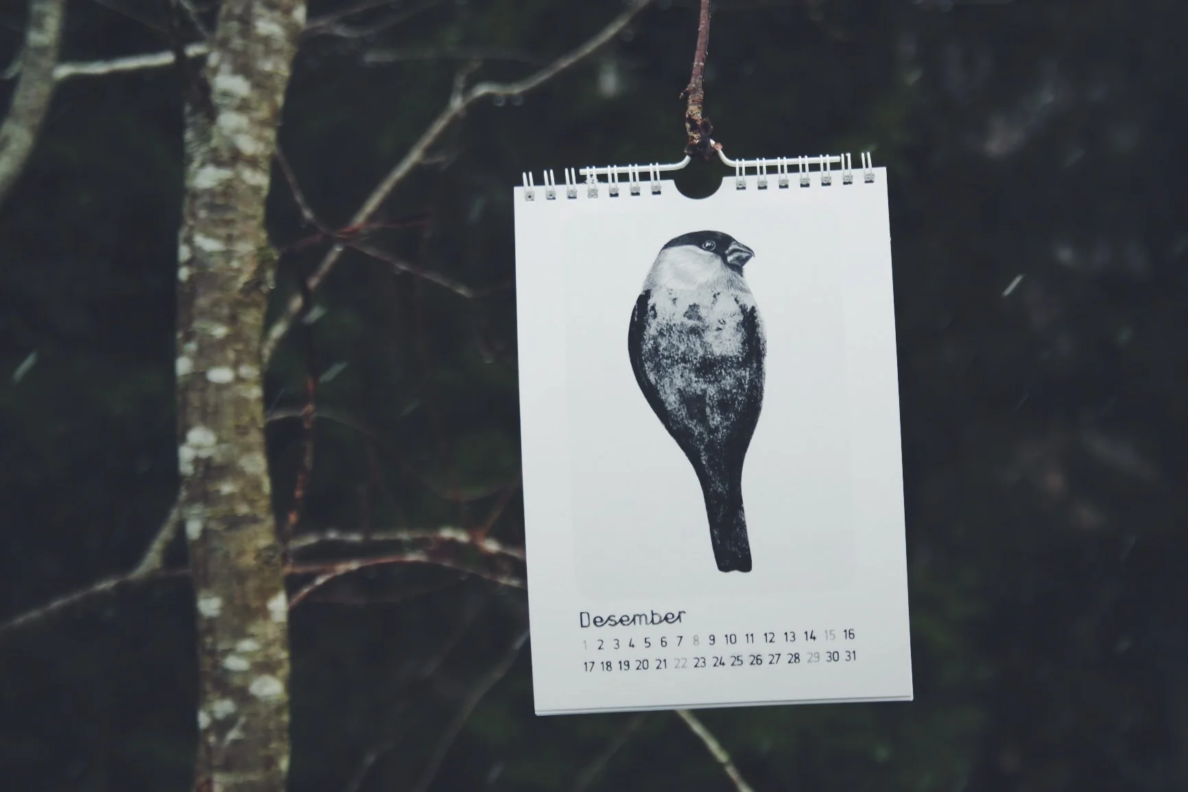 desember.JPG