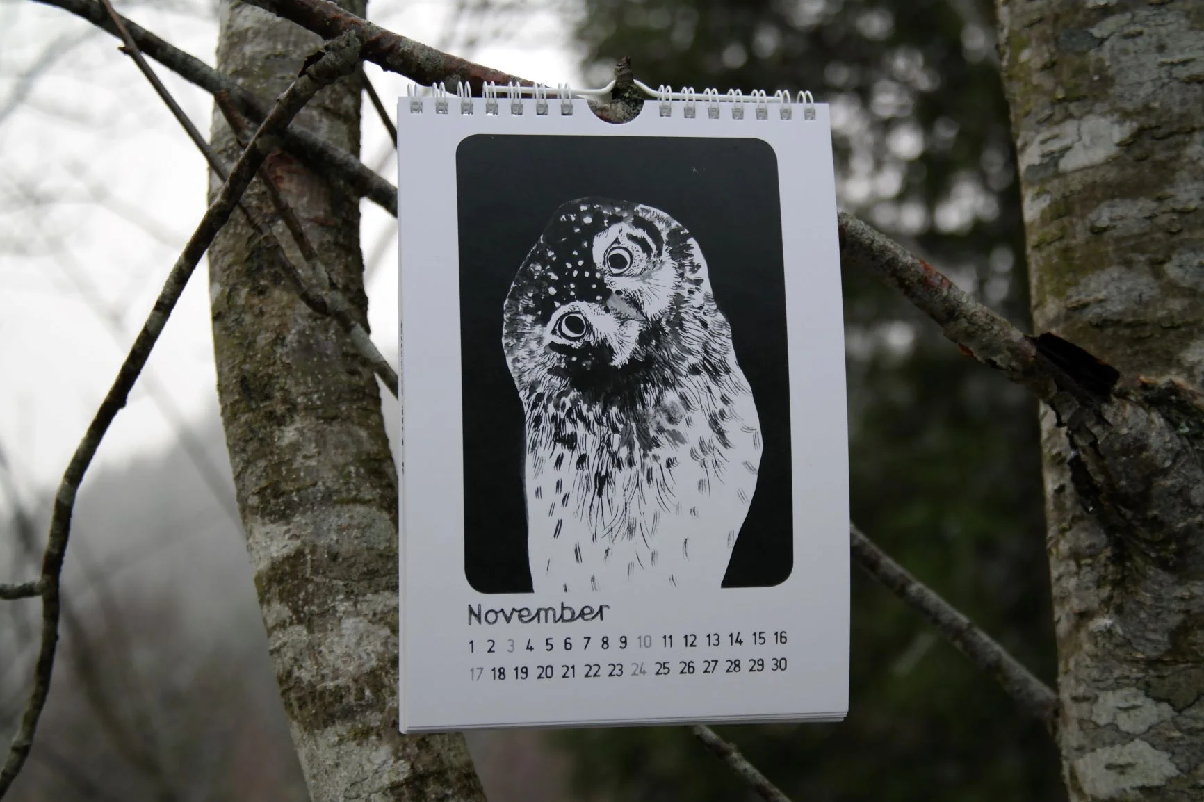 november.JPG
