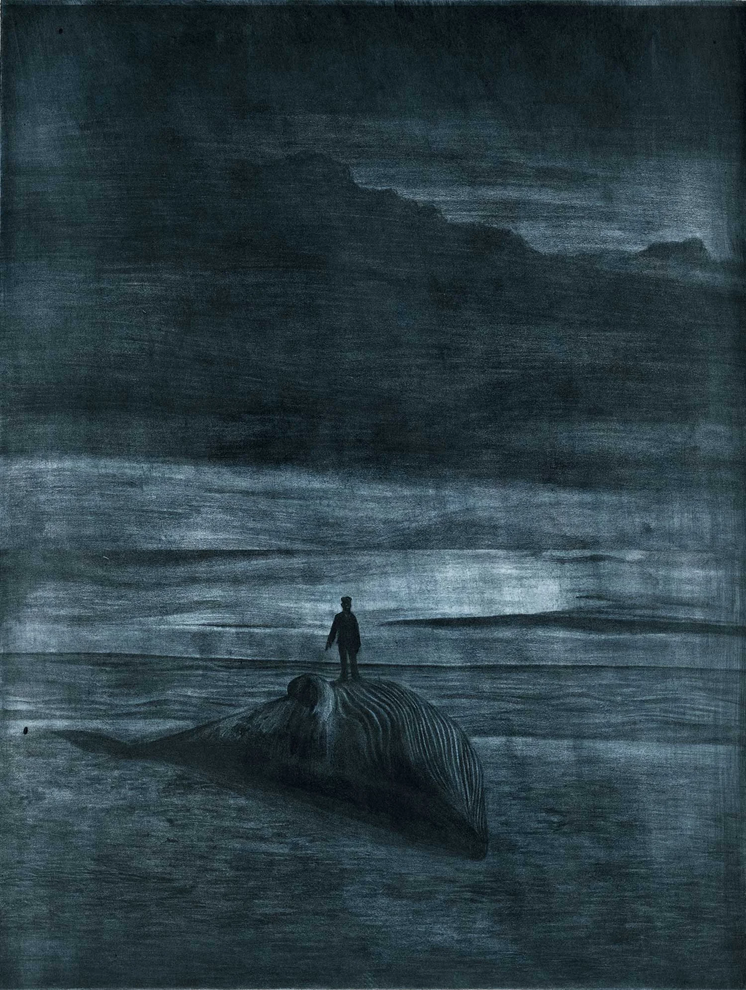 dead_whale.jpg