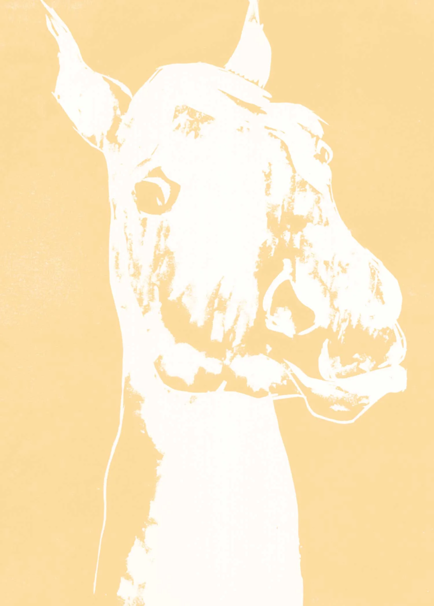 pink_horse_2.jpg