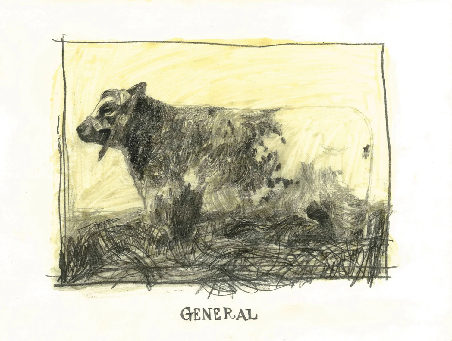 general.jpg