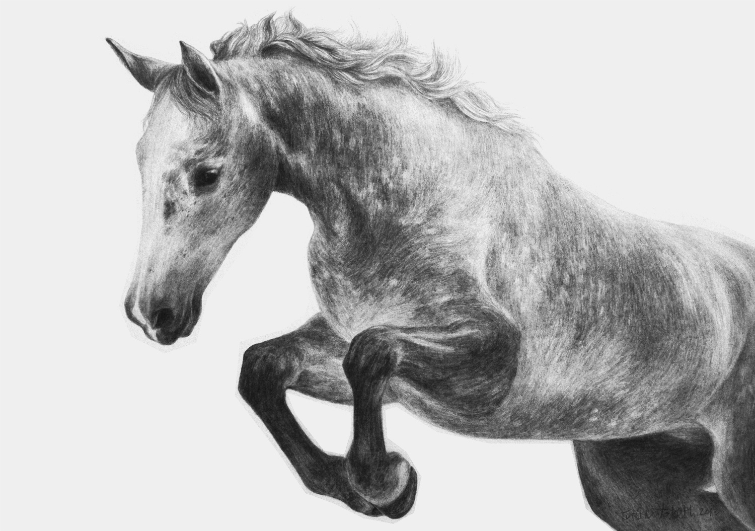 horse_portrait_7copy.jpg
