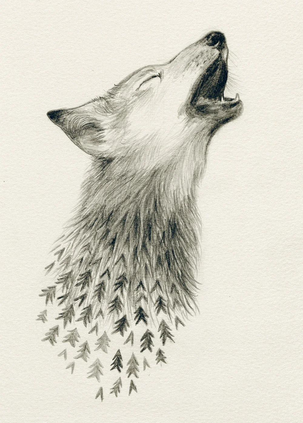 wolfcub.jpg