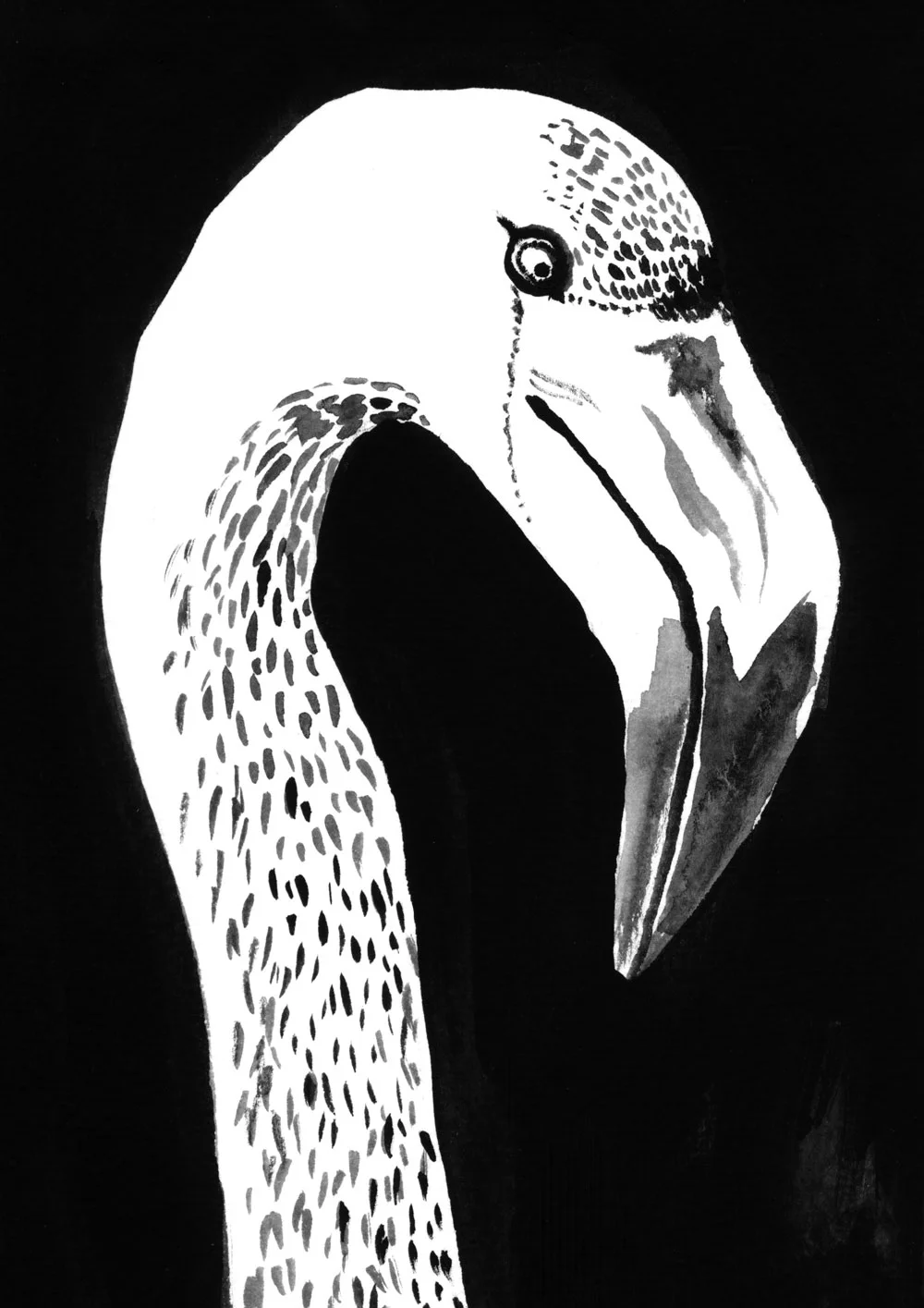 flamingo.jpg