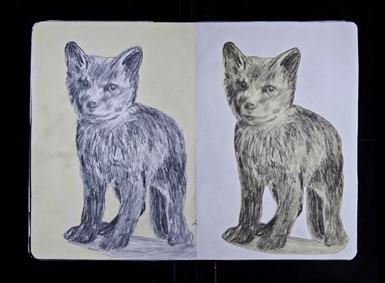 sketchbook_6.jpg