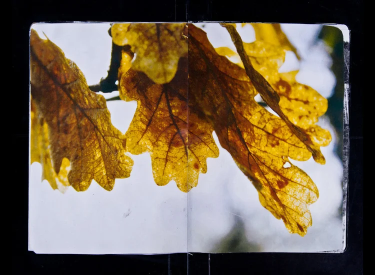 sketchbook_12.jpg