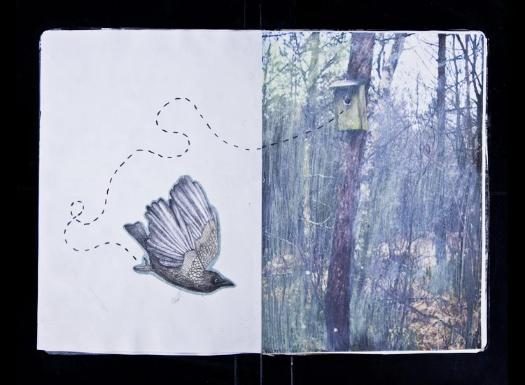 sketchbook_13.jpg