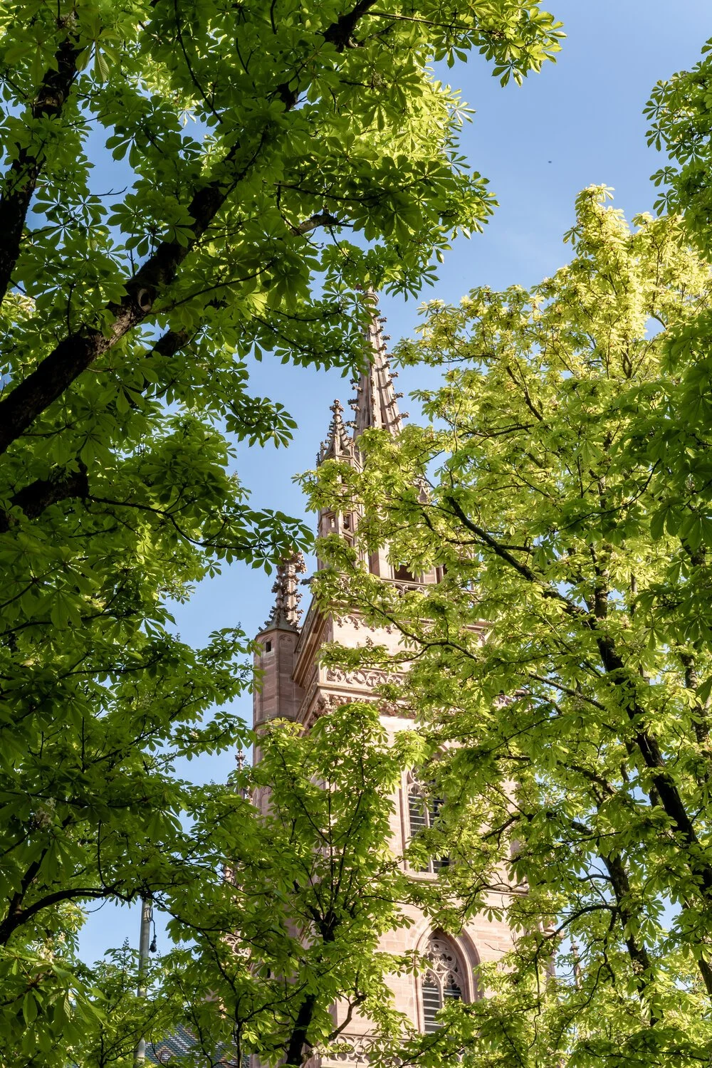 210428_Stadt-74.jpg