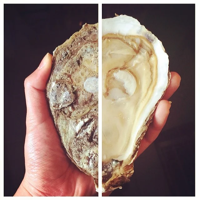 #16 Pretty pleased with my shucking job on this monstrous Pleasure House Oyster.