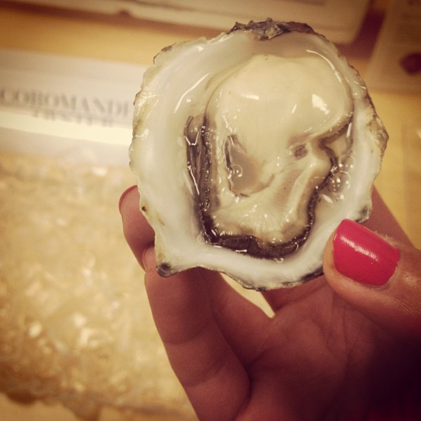 #6 Showing off an exceptional specimen of Coromandel during an in-office oyster tasting .
