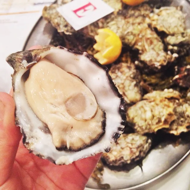 #2 During a fascinating blind taste test of Ireland's top oyster-growing regions just before Galway Oyster & Seafood Festival.
