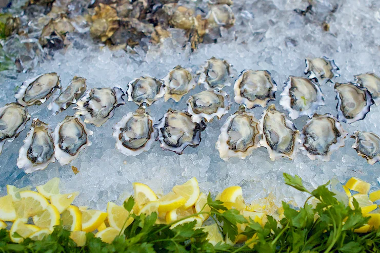 Oysters