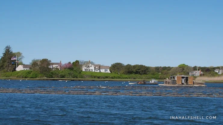IAHS-2015-06-14-Chatham-IMG_2608.jpg