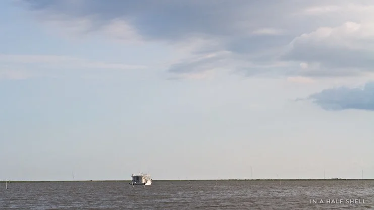 IAHS-2015-07-10-Gulf-Oyster-Tour-IMG_4180.jpg