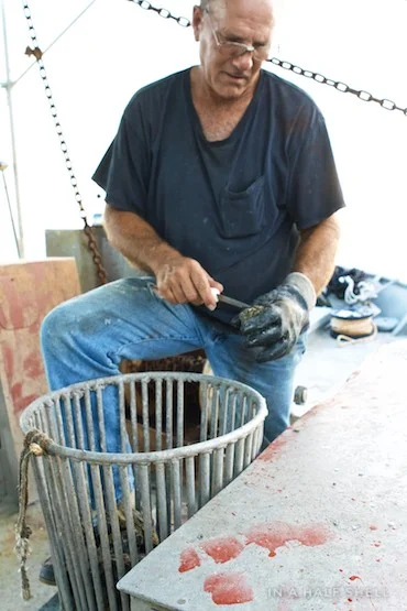 IAHS-2015-07-10-Gulf-Oyster-Tour-IMG_4253.jpg
