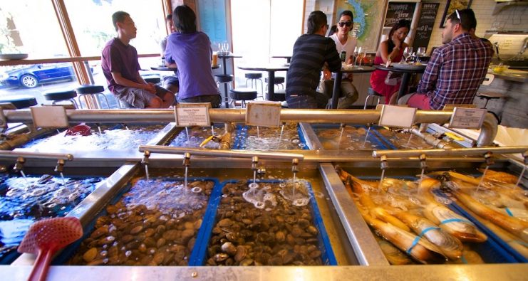 InAHalfShell-WetStorage-TaylorShellfish-741x395.jpg