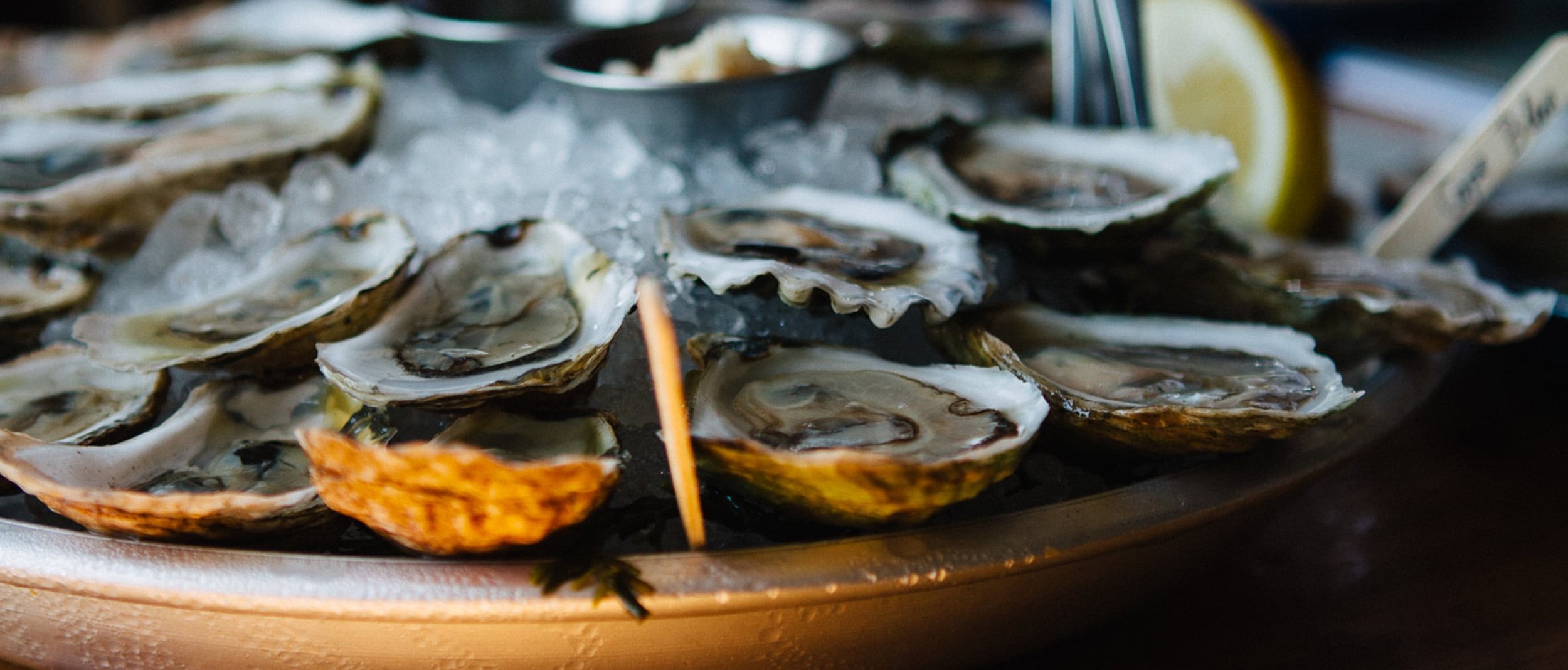Oyster English Blog New Site Updates