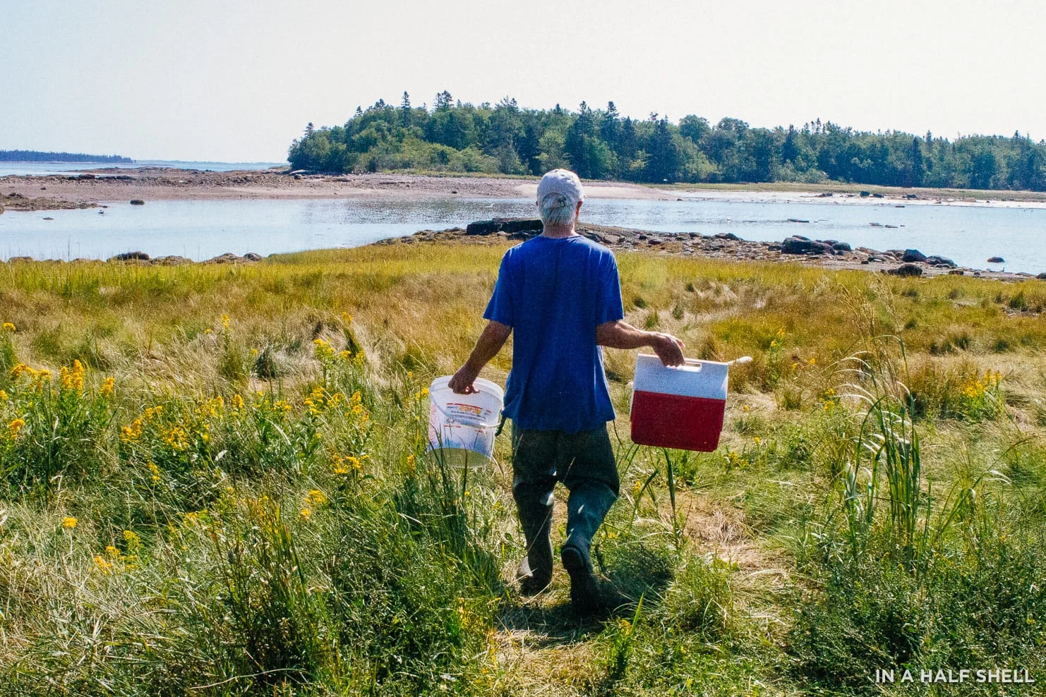 InAHalfShell-DowneastMaine01.jpg