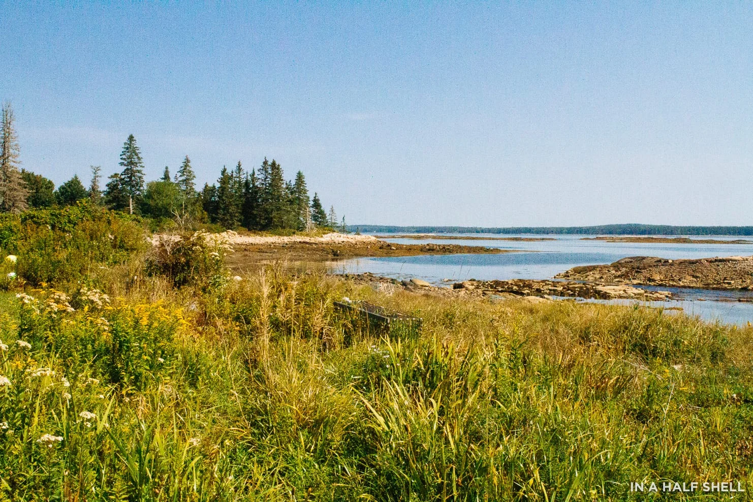 InAHalfShell-DowneastMaine02.jpg
