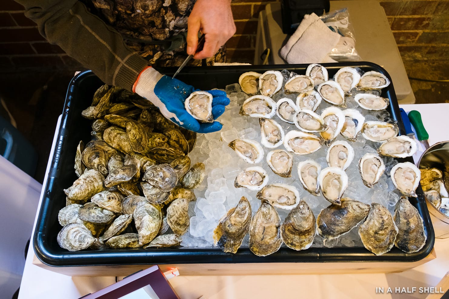 Get Pumped About Landlocked 2018 by Oyster South — In A Half Shell