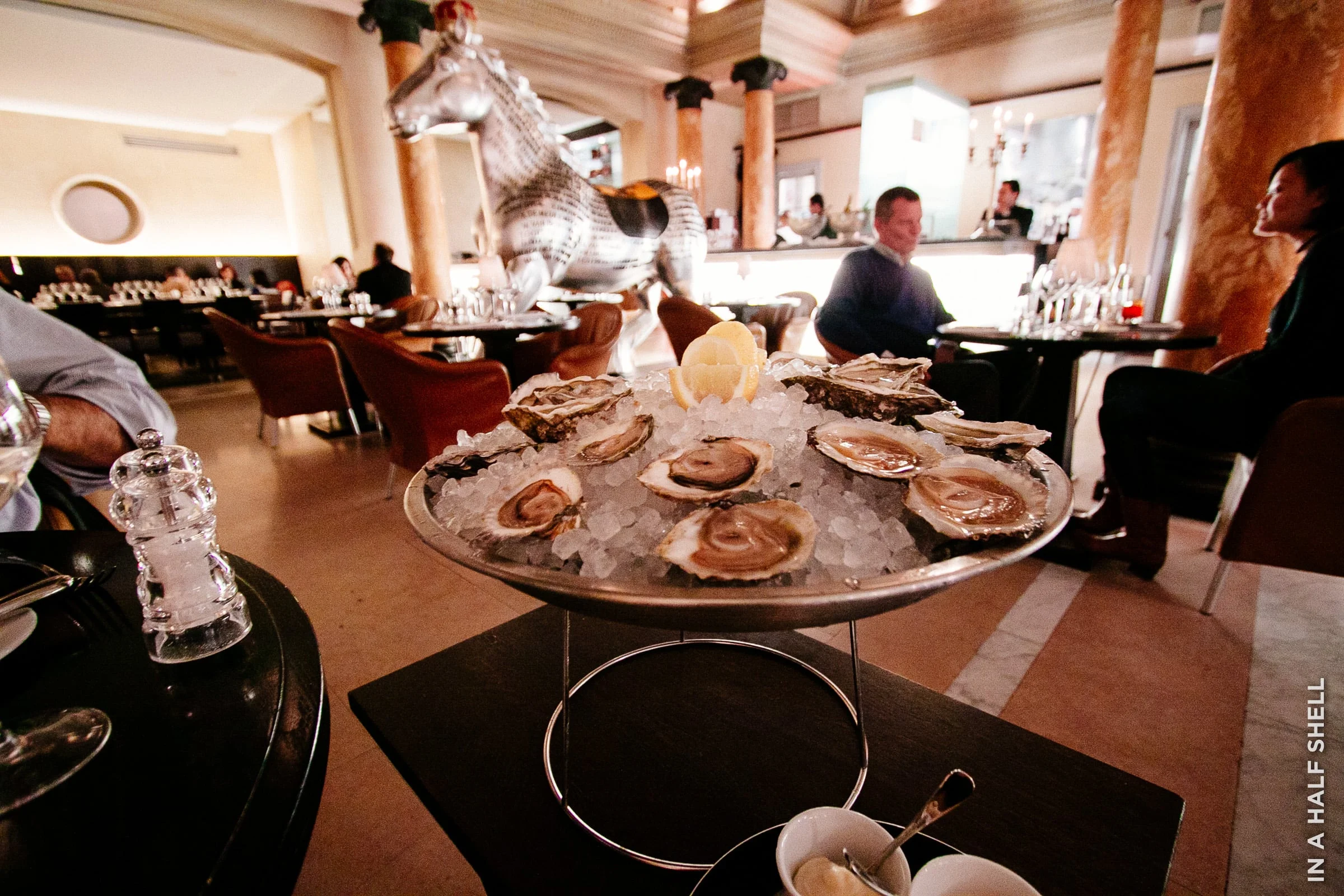InAHalfShell-2010-WorldOysterTour-3.jpg