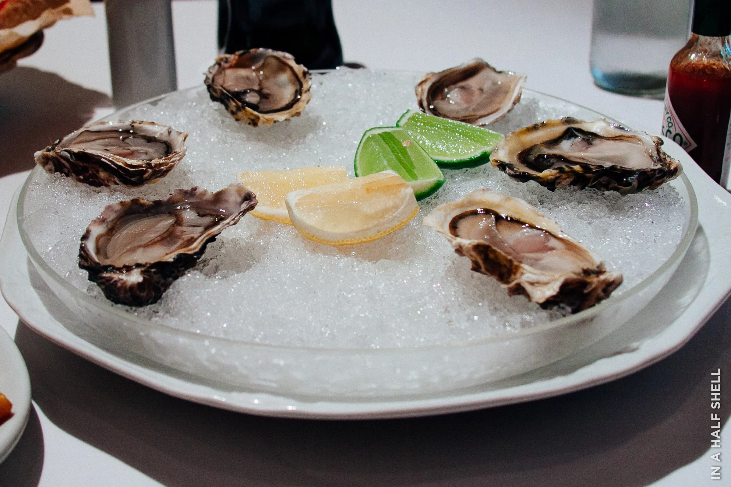 InAHalfShell-2010-WorldOysterTour-19.jpg