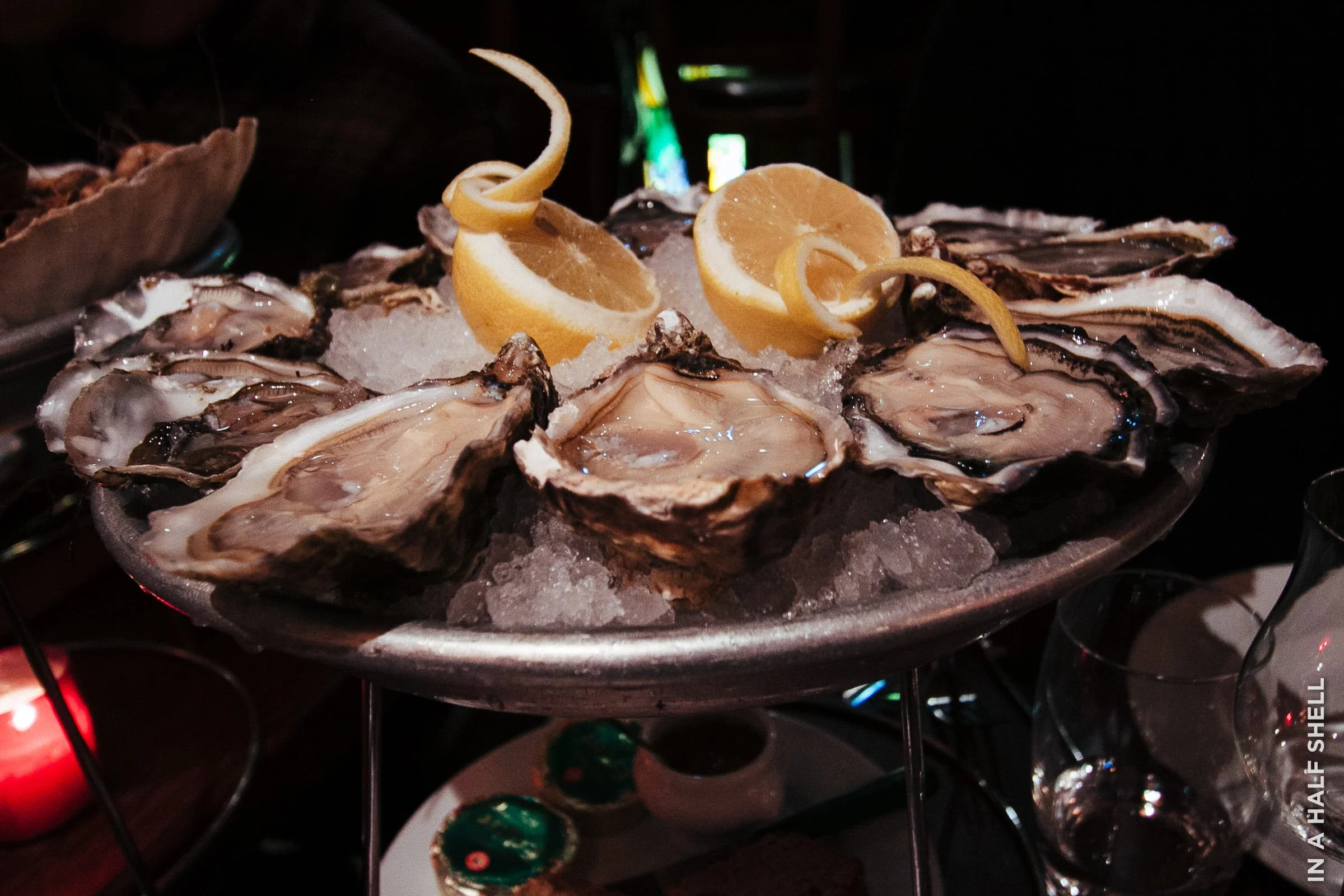 InAHalfShell-2010-WorldOysterTour-21.jpg
