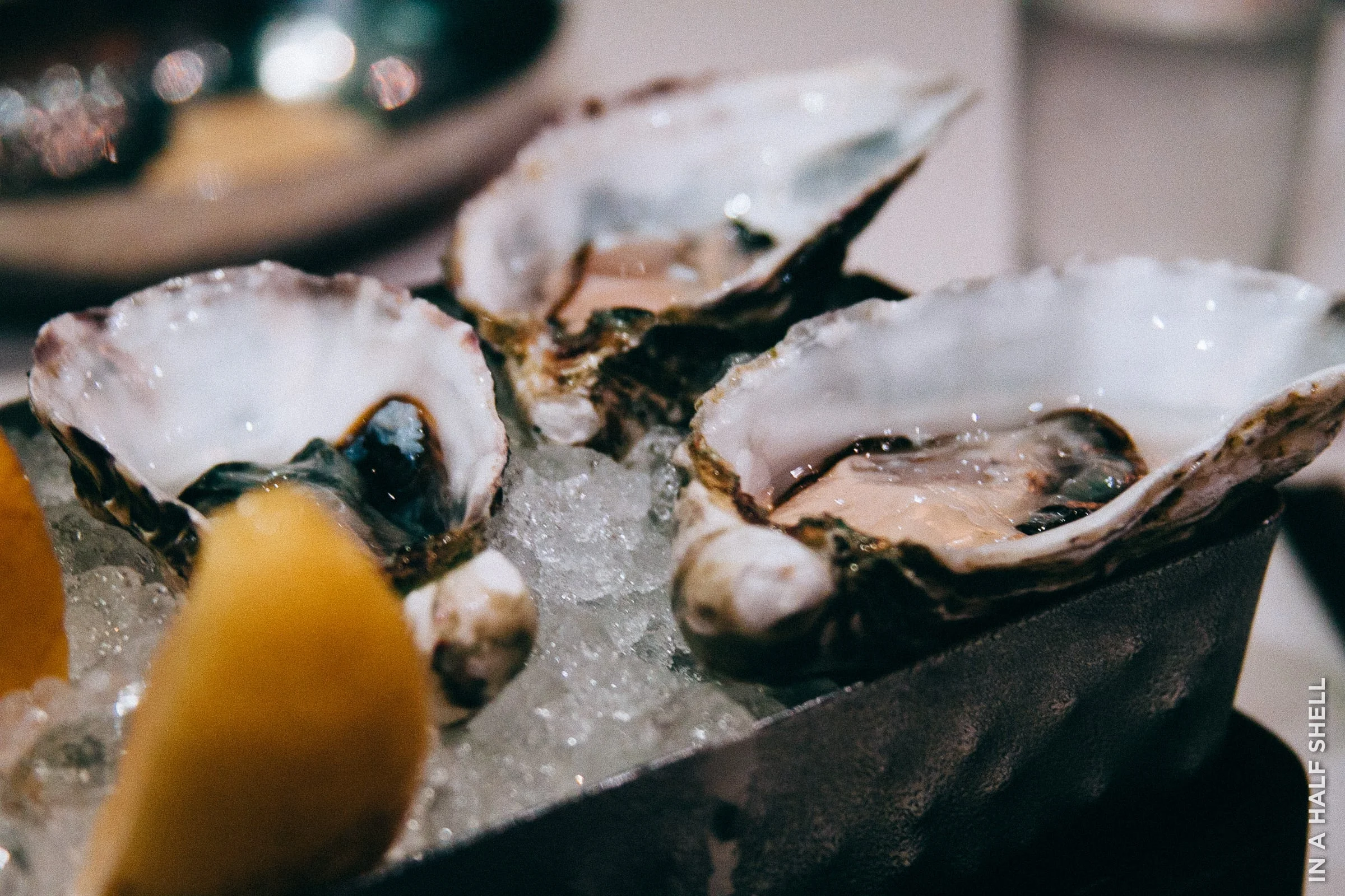 Sydney Rock oysters from Australia savored in Jakarta, Indonesia