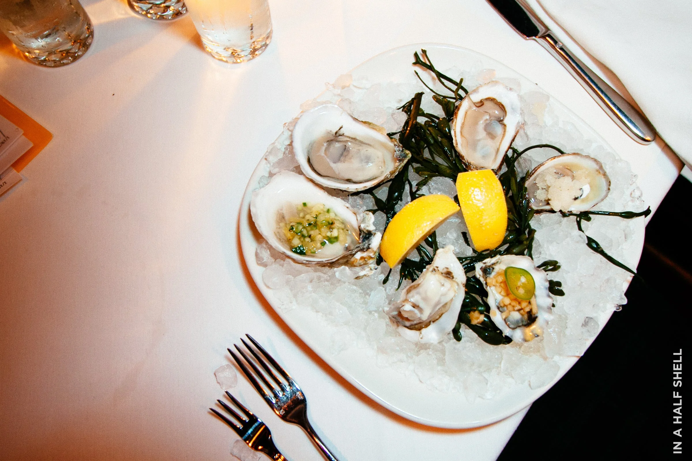 InAHalfShell-2011-NYOLLureFishbar-2.jpg
