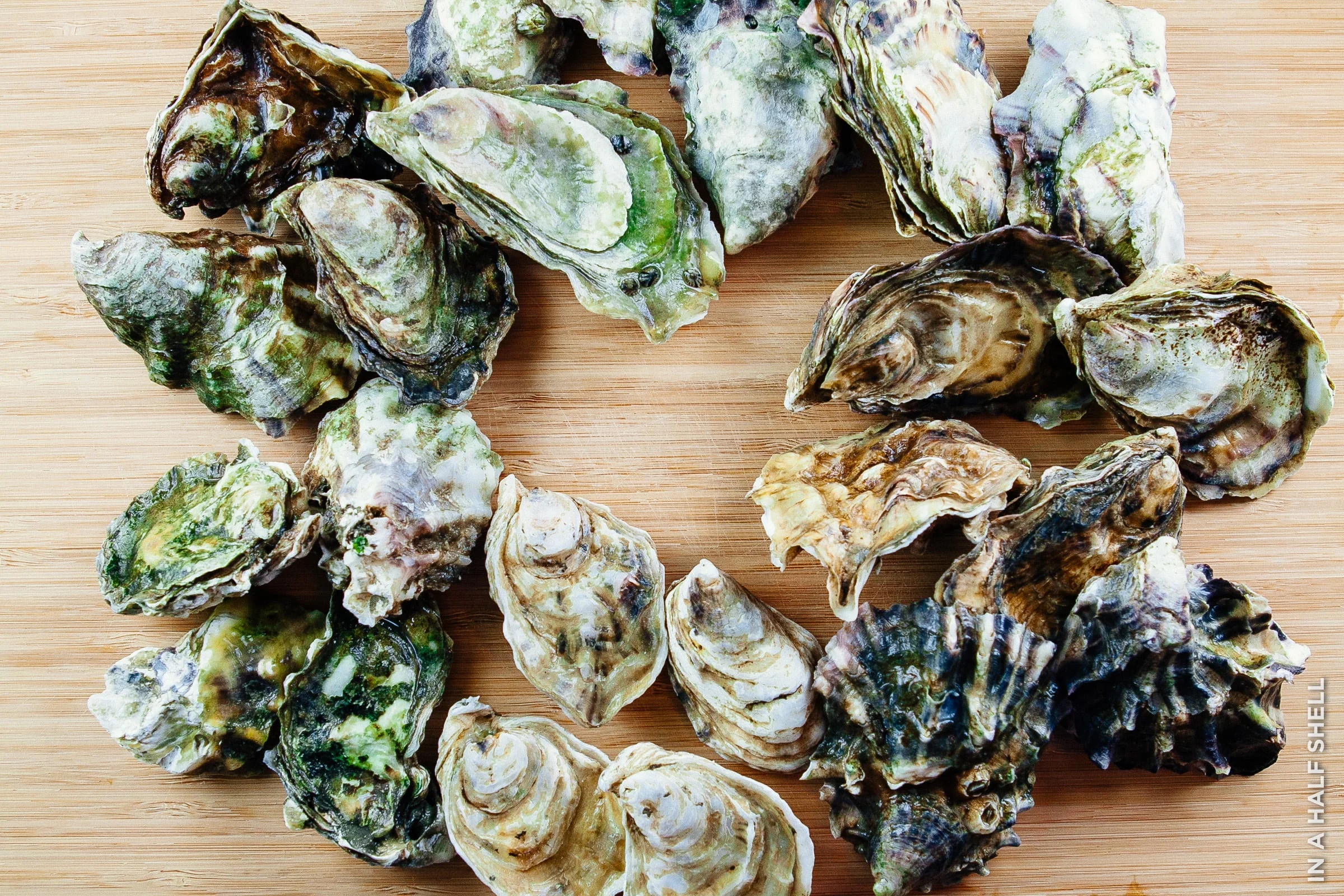 InAHalfShell-2011-SeaandSpice-12.jpg