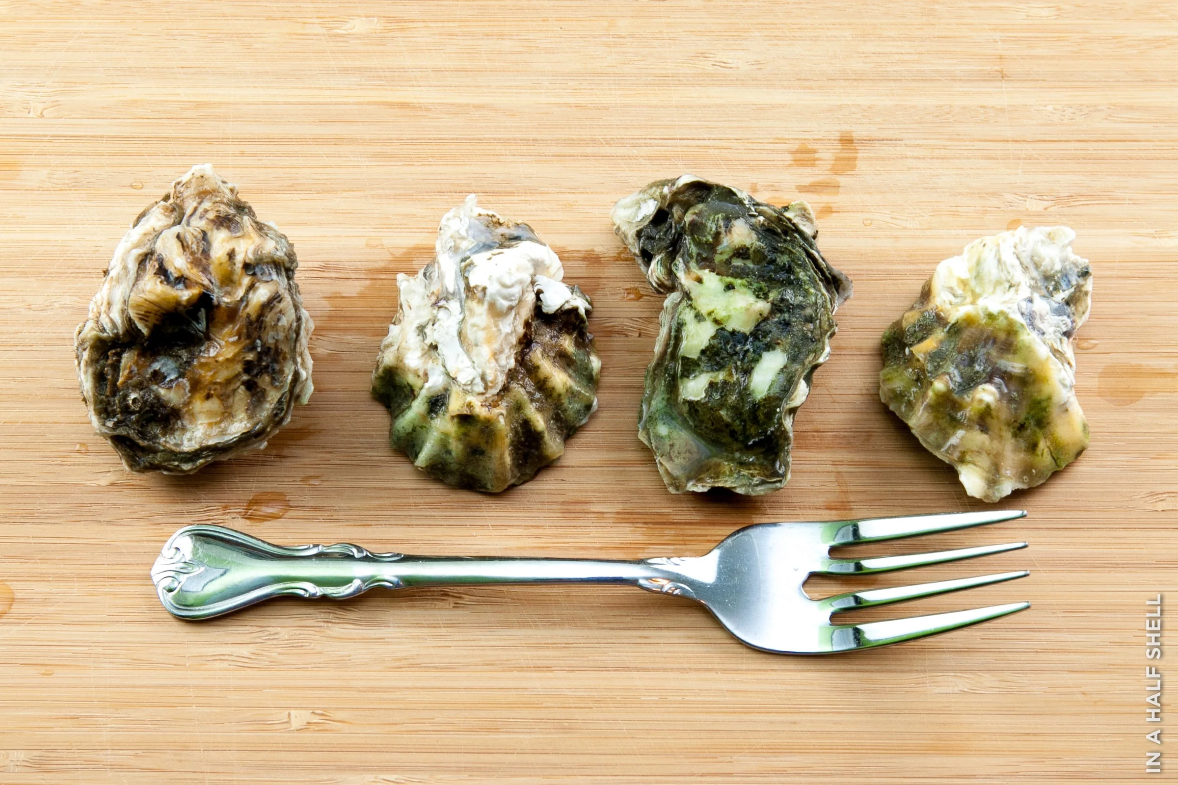 InAHalfShell-2011-SeaandSpice-4.jpg