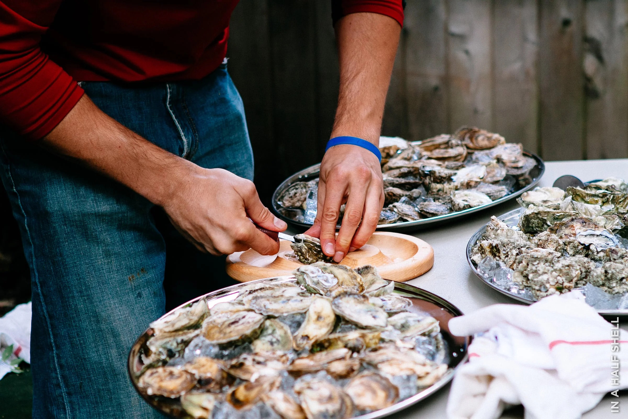 InAHalfShell-2011-HalfSheller-5.jpg