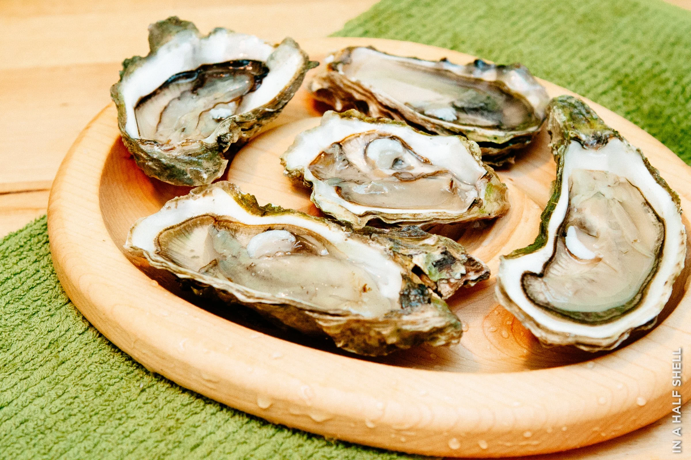 InAHalfShell-2011-HalfSheller-3.jpg