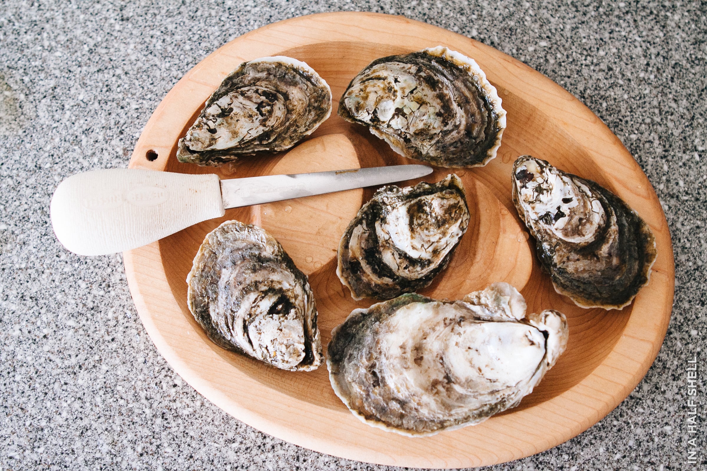 HOW TO EAT AN OYSTER In Eight Easy Steps Platters 4 Ct 