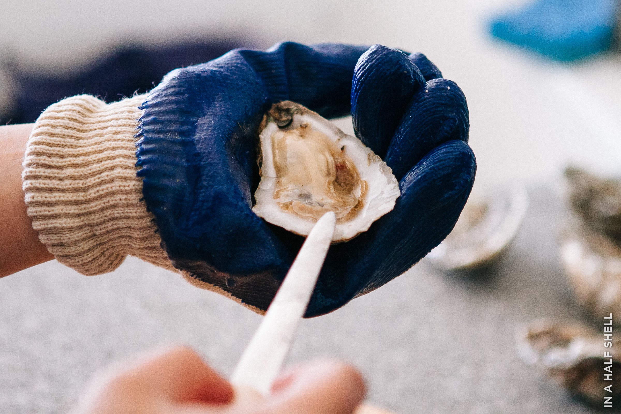 How To Enjoy Oysters At Home (2020 Update) — In A Half Shell