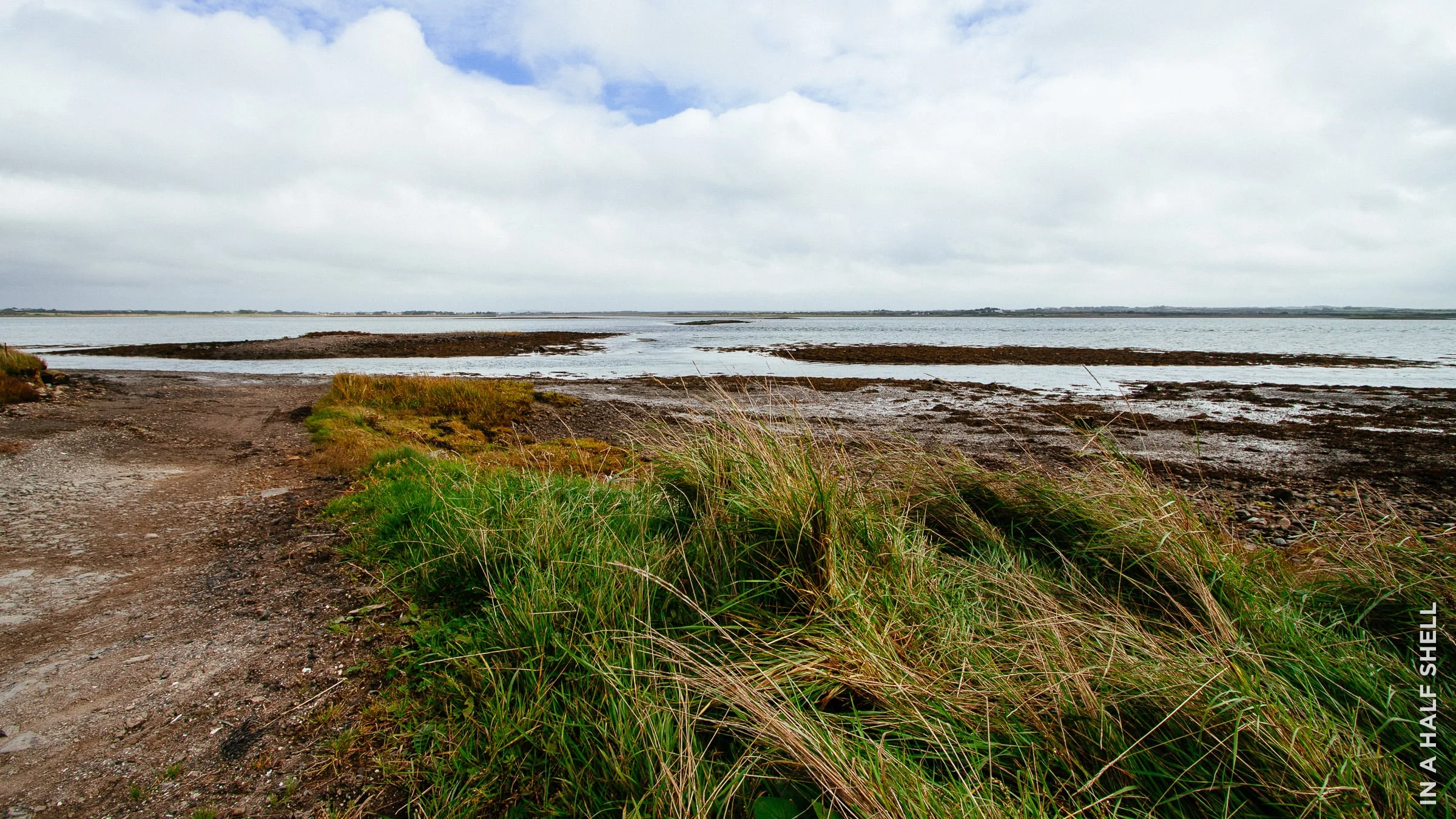 InAHalfShell-2013-IrelandOysterTour-8.jpg