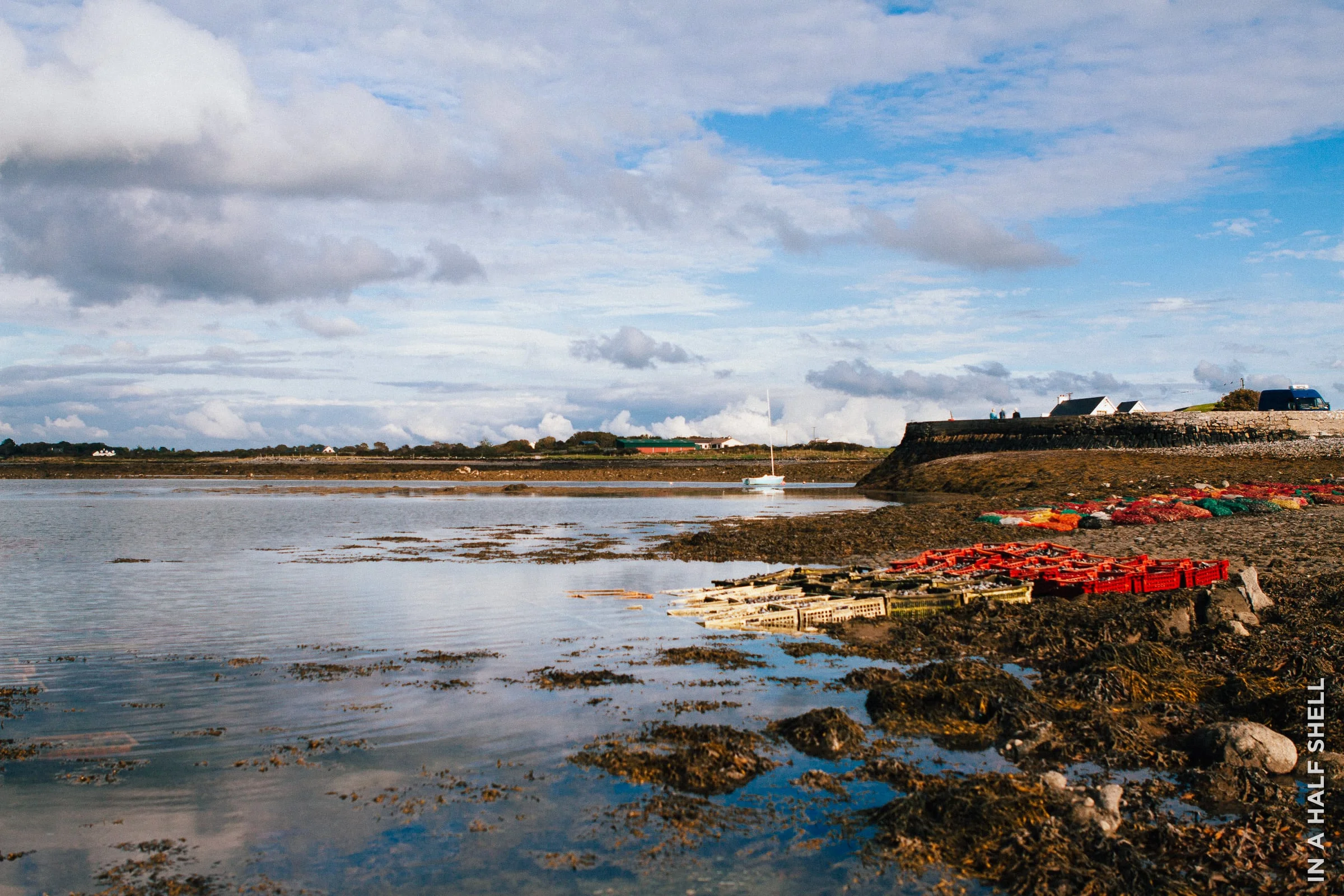 InAHalfShell-2013-IrelandOysterTour-24.jpg