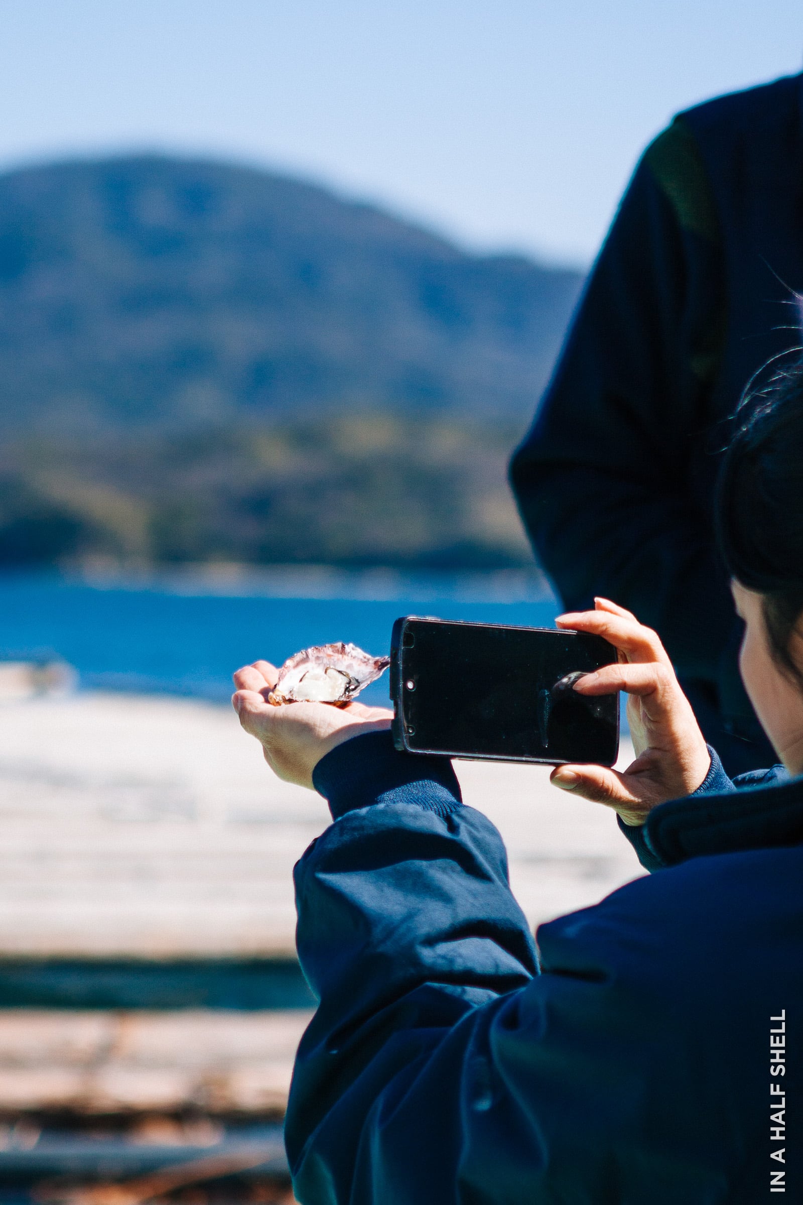 InAHalfShell-2014-HiroshimaOysterFarm-14.jpg